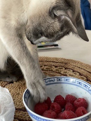 JiaLi framboises