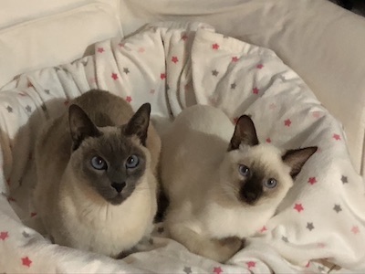 Rio et Jiali