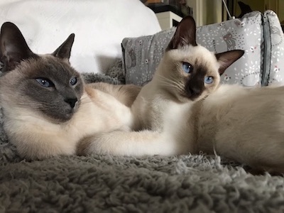 Rio et Jiali