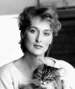 Meryl Streep