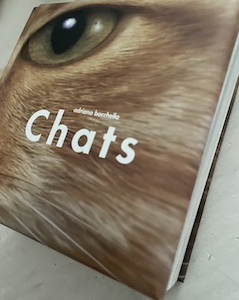 chats 2