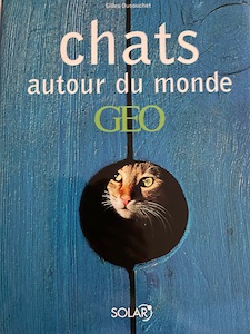 chats autour du monde