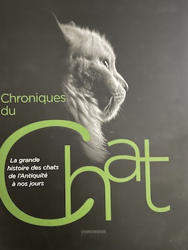 chroniques du chat