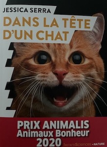 dans la tete dun chat