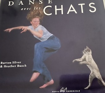 danse avec les chats