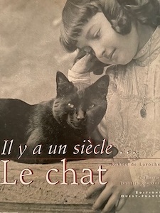 un siecle le chat