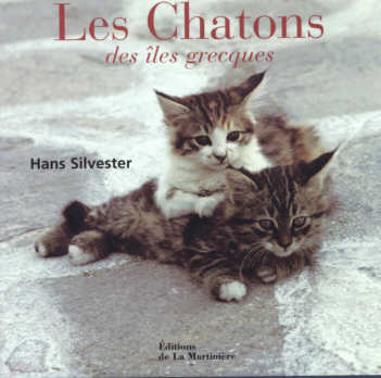 chatons