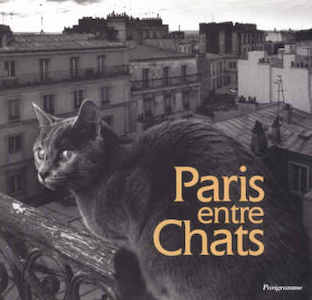 paris entre chats