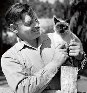 Clarke Gable