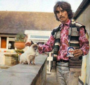 Georges Harrison