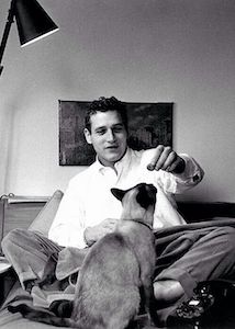 Paul Newman