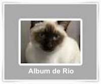 Rio
